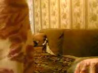 Скриншот видео qirgʻiz seks Стеснительная узбечка сосет член и дает в пизду
